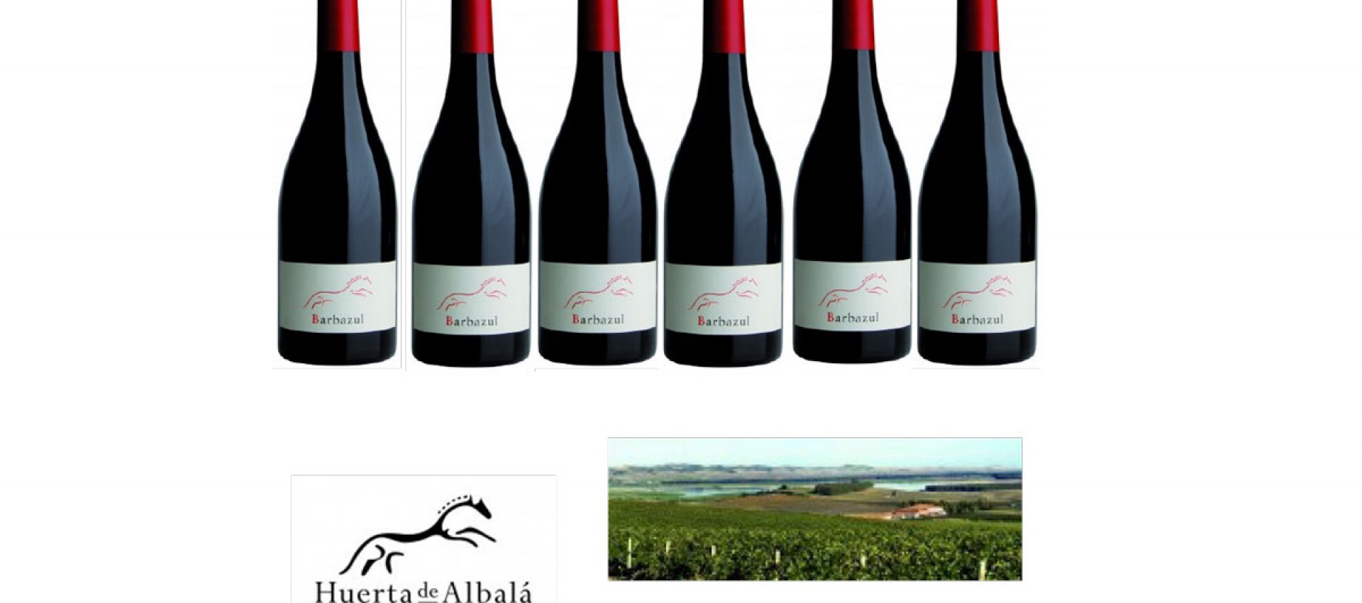 Huerta de Albalá - Barbazul - Weltklasse Rotweine aus Spaniens Süden